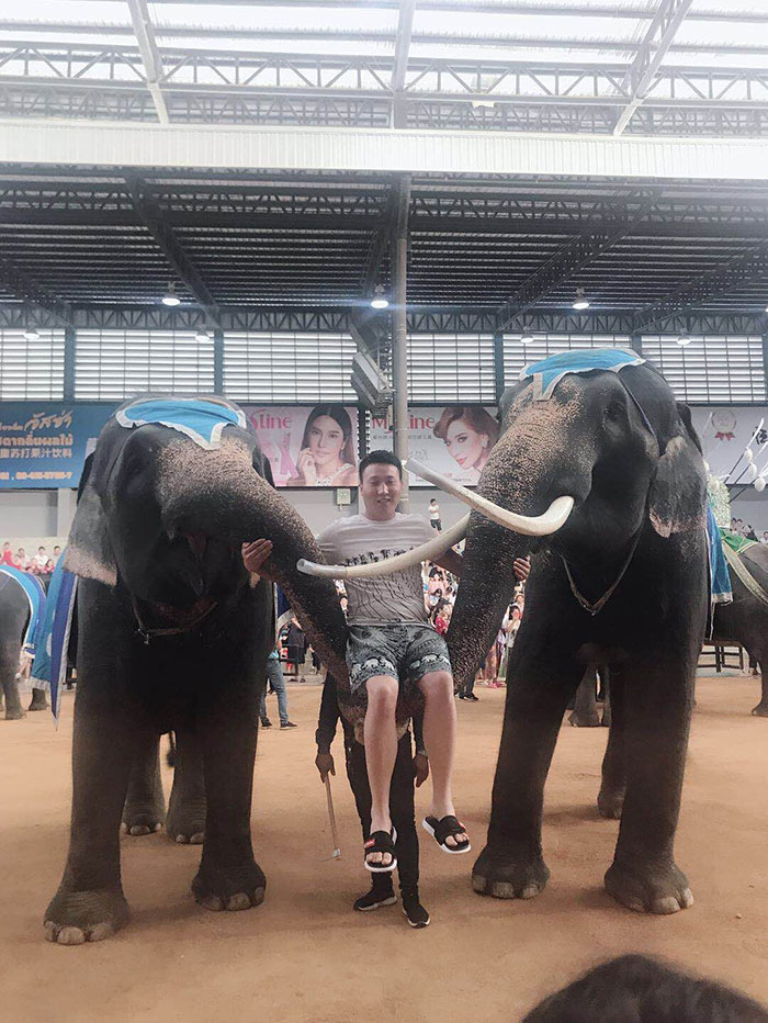 2019ʏ����(y��u)��ʿ��Ӣ̩��֮��